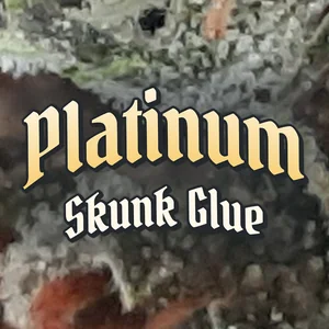 Platinum Skunk Glue Cannabis Strain