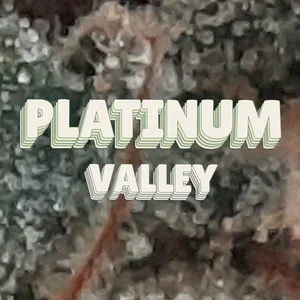 Platinum Valley Cannabis Strain