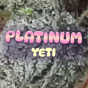Platinum Yeti Cannabis Strain