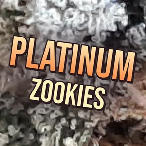 Platinum Zookies Cannabis Strain