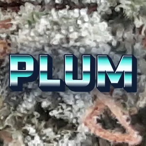 Plum Cannabis Strain