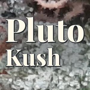 Pluto Kush Cannabis Strain