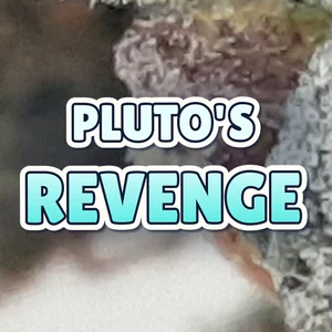 Pluto's Revenge Cannabis Strain