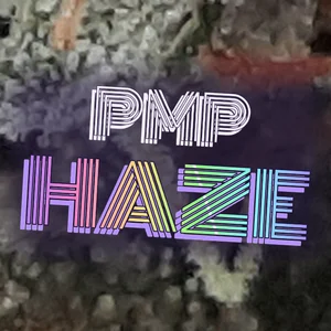 PMP Haze Cannabis Strain