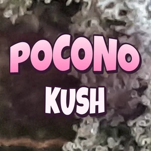 Pocono Kush Cannabis Strain
