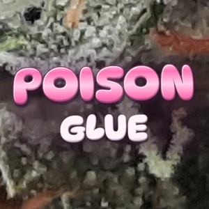 Poison Glue Cannabis Strain