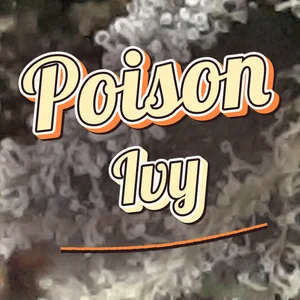 Poison Ivy Cannabis Strain