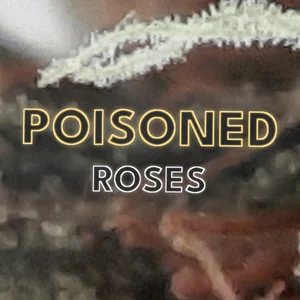 Poisoned Roses Cannabis Strain