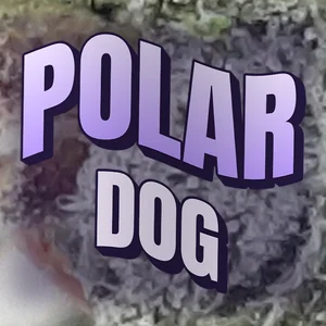 Polar dog Cannabis Strain