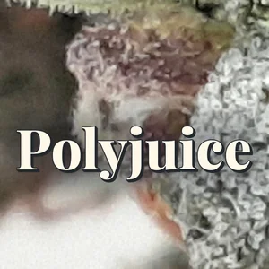 Polyjuice Cannabis Strain