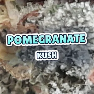 Pomegranate Kush Cannabis Strain