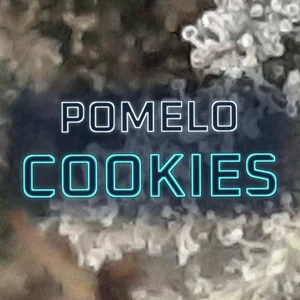 Pomelo Cookies Cannabis Strain