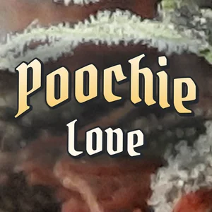 Poochie Love Cannabis Strain