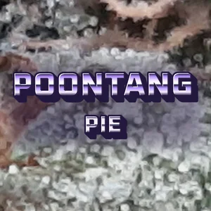 Poontang Pie Cannabis Strain