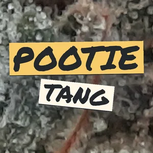 Pootie Tang Cannabis Strain