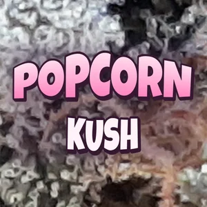 Popcorn Kush Cannabis Strain