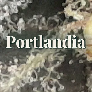 Portlandia Cannabis Strain
