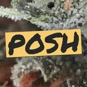 Posh Cannabis Strain