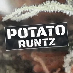 Potato Runtz Cannabis Strain