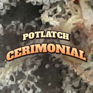 Potlatch Cerimonial Cannabis Strain