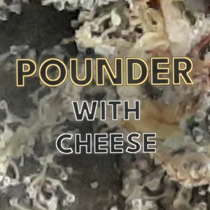 Pounder with Cheese Cannabis Strain