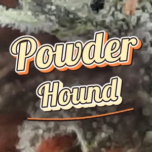 Powder Hound Cannabis Strain