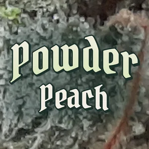 Powder Peach Cannabis Strain