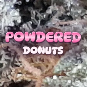 Powdered Donuts Cannabis Strain