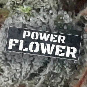 Power Flower Cannabis Strain