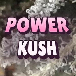 Power Kush Cannabis Strain