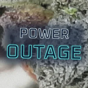 Power Outage Cannabis Strain