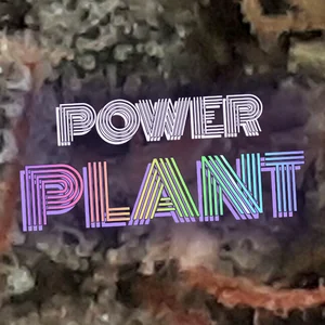 Power Plant Cannabis Strain