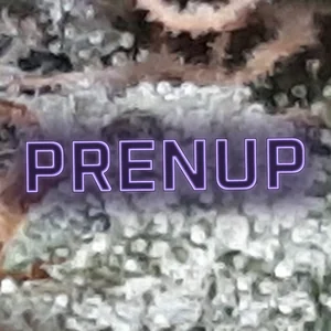 Prenup Cannabis Strain