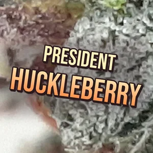 President Huckleberry Cannabis Strain