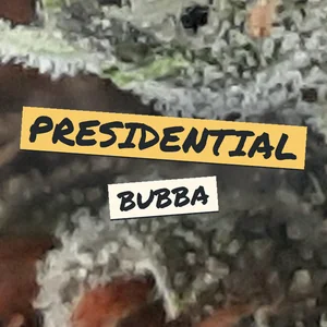 Presidential Bubba Cannabis Strain