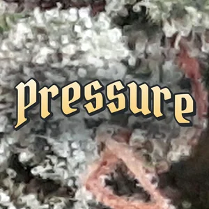 Pressure Cannabis Strain