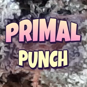 Primal Punch Cannabis Strain