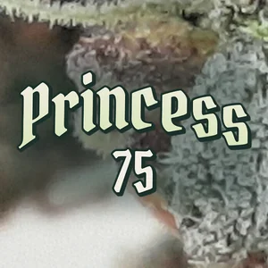 Princess 75 Cannabis Strain