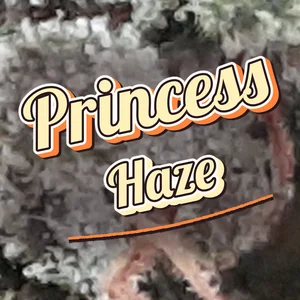 Princess Haze Cannabis Strain
