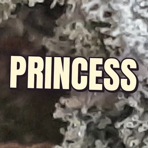Princess Cannabis Strain