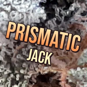Prismatic Jack Cannabis Strain