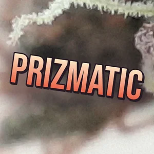 PriZmatic Cannabis Strain