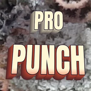 Pro Punch Cannabis Strain