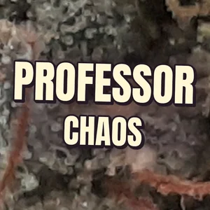 Professor Chaos Cannabis Strain