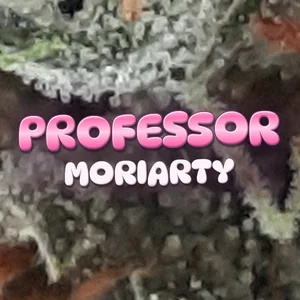 Professor Moriarty Cannabis Strain