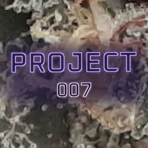 Project 007 Cannabis Strain