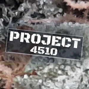 Project 4510 Cannabis Strain