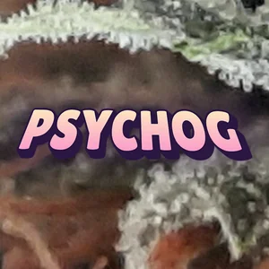 PsychOG Cannabis Strain