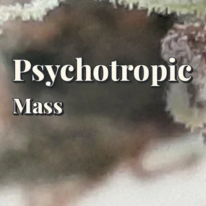 Psychotropic Mass Cannabis Strain