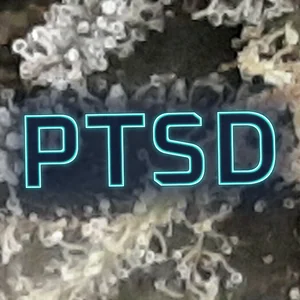 PTSD Cannabis Strain